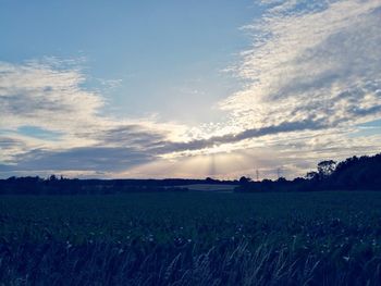 Scenic view of field against sky at sunset