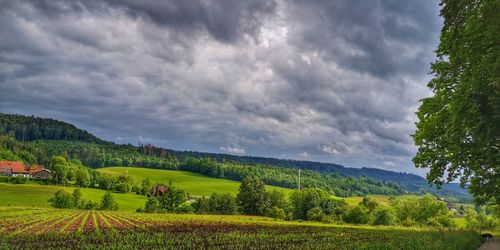 Scenic view of landscape against sky
