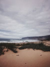 Scenic view of beach against sky