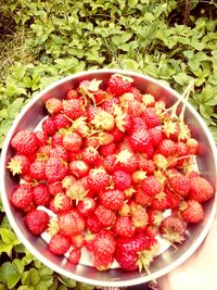 Close-up of strawberries in bowl