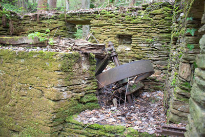 Old abandoned built structure by plants