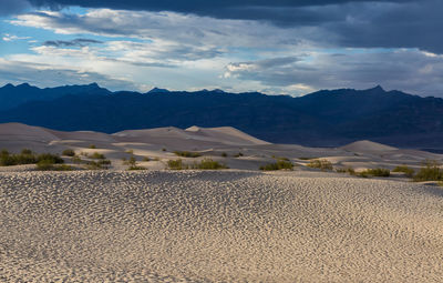 Scenic view of landscape and mountains against sky