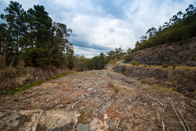 Dirt road amidst trees against sky