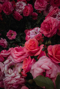 High angle view of rose bouquet