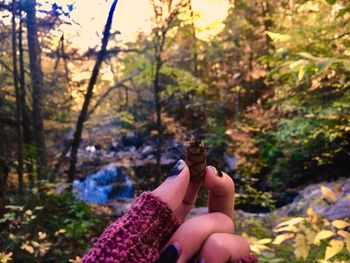 Cropped hand holding pine cone