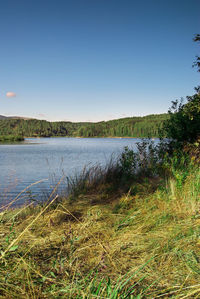 Scenic view of lake against clear blue sky