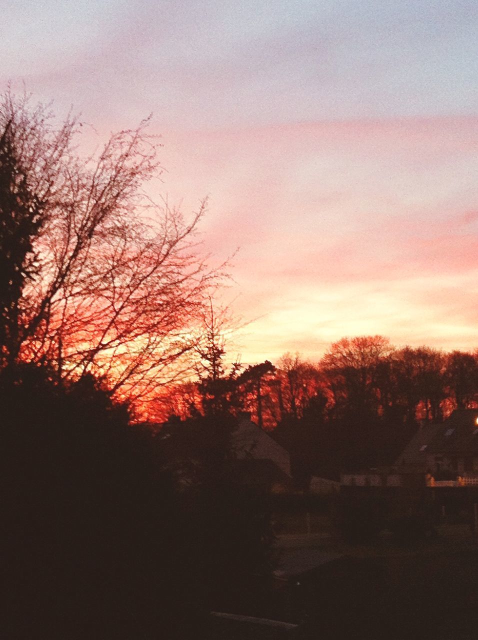 sunset, tree, silhouette, tranquility, bare tree, tranquil scene, scenics, sky, beauty in nature, orange color, nature, landscape, idyllic, branch, dusk, non-urban scene, outdoors, no people, growth, cloud - sky