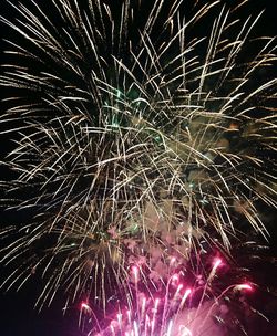 Fireworks exploding in night sky