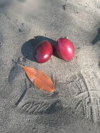 High angle view of berries on sand