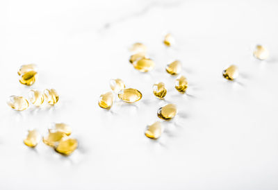 Close-up of seashells against white background