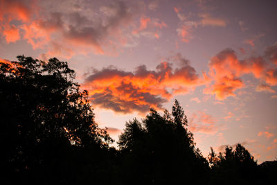 Low angle view of silhouette trees against dramatic sky