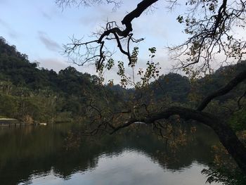 Reflection of trees on water against sky