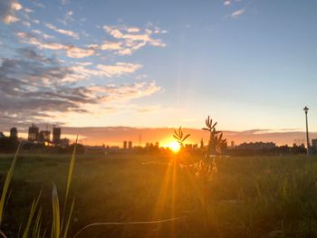 Scenic view of field against sky during sunset