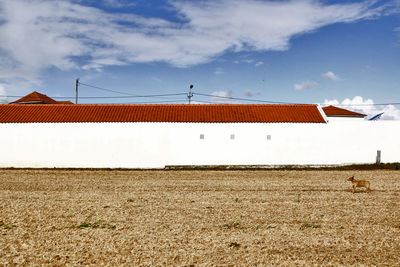 House on field against sky