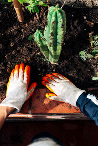 High angle view of human hand