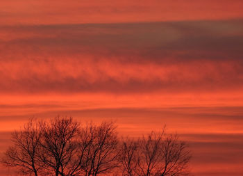 Silhouette trees against sky during sunset