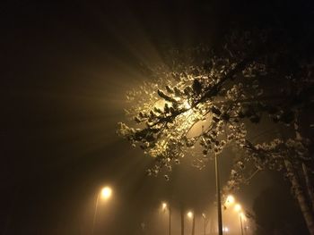 Close-up of illuminated tree against sky at sunset