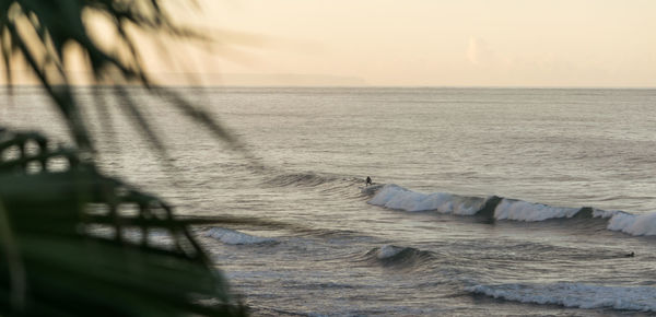 Person surfing on wave in sea against sky during sunset