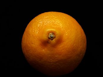 Close-up of orange fruit against black background