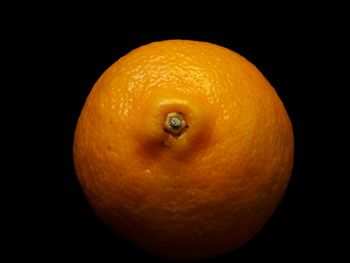 Close-up of orange fruit against black background