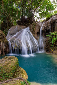 Scenic view of waterfall in forest