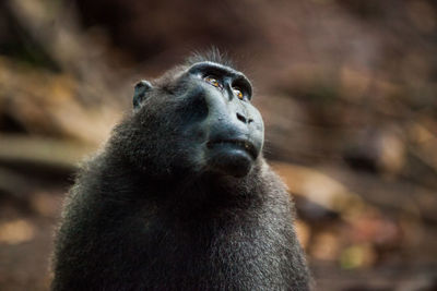 Portrait of young man in zoo