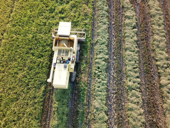 High angle view of agricultural field