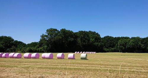 Lounge chairs on field against clear blue sky