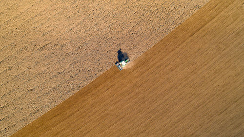 High angle view of person standing on field