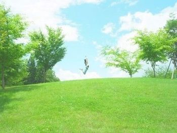 Trees on grassy field