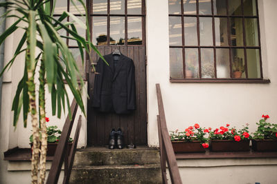 Potted plants on window of building