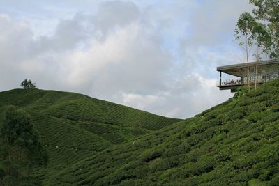 hill
