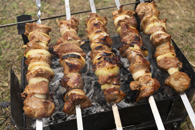 Close up cooking meat barbecue on the coal in camping park, forest. meat , onion rings strung on