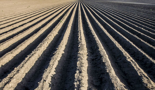 Full frame shot of farm