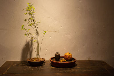 Potted plant on table against wall