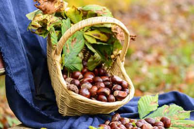 Close-up of strawberries in basket