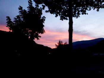 Silhouette trees against sky during sunset