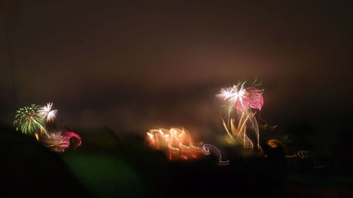 Firework display at night