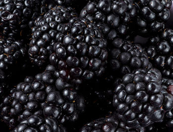 Many blackberries on a plate on a black background still life photography