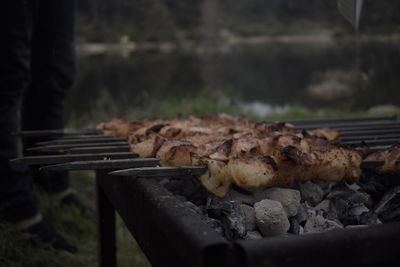 Close-up of meat on barbecue grill