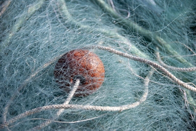 Close-up of fishing net