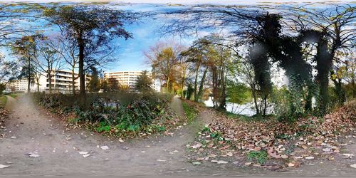 View of footpath along trees