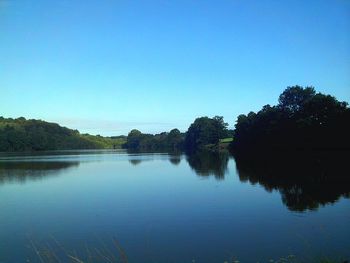 Reflection of trees in calm lake