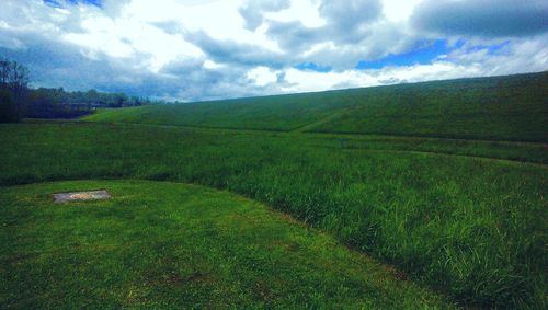 Scenic view of field against sky