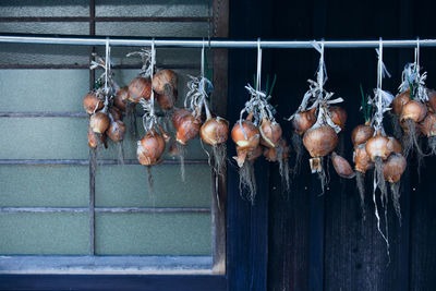 Close-up of vegetables hanging on metal window