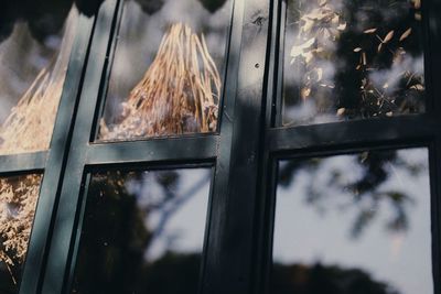 Close-up of glass window with reflection 