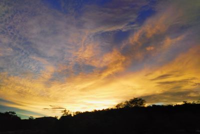 Low angle view of silhouette trees against dramatic sky