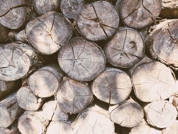 Full frame shot of logs