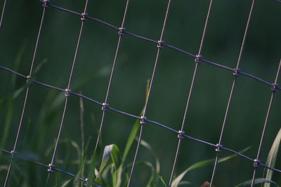 Full frame of wire mesh fence