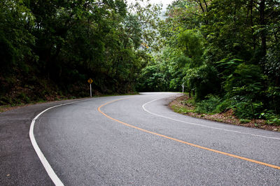 Road amidst trees